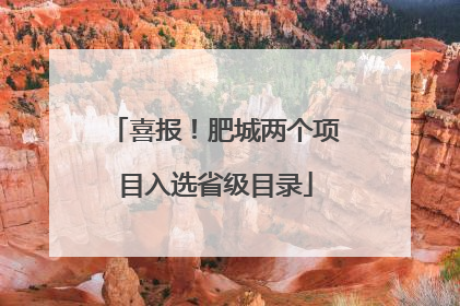 喜报！肥城两个项目入选省级目录